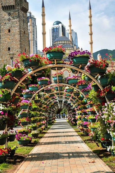 Чечня! Скидка!