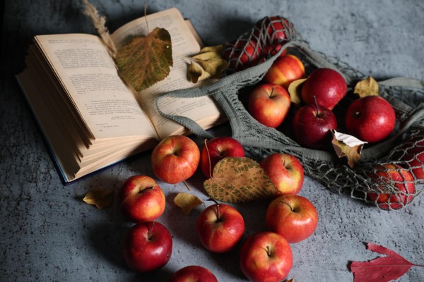 Мастер-класс «Играем с цветом: как цвет влияет на настроение в кадре»