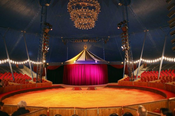 Познавательно- развлекательная програма «Магия цирковой арены»