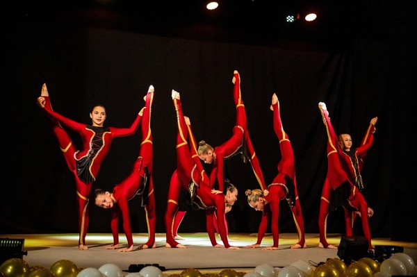 Концерт «День цирка»