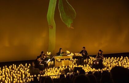 Lumos Concerts. Вивальди, Пьяццолла: Времена года