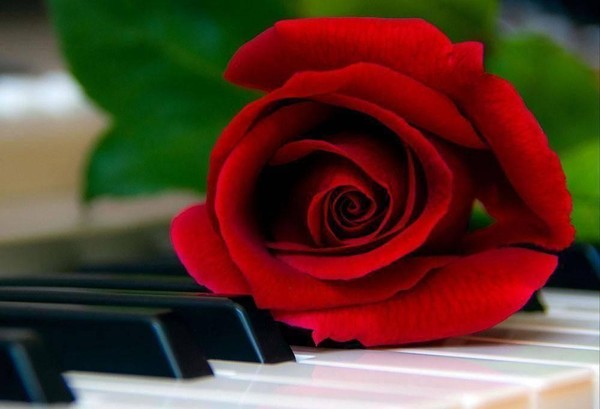 Литературно-музыкальная программа «Мелодии весны: фортепиано»