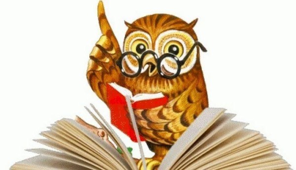 Интерактивная программа «Ума палата»