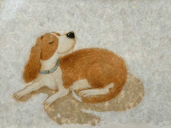 Пушистые шедевры