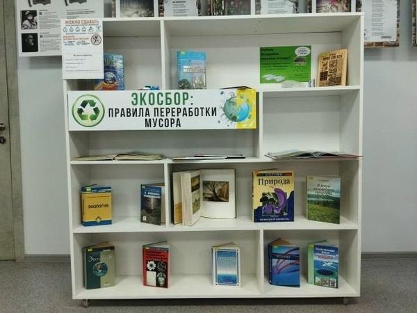 Экологический экскурс «Экосбор: правило переработки мусора»