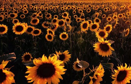 Группа «Станционный смотритель»