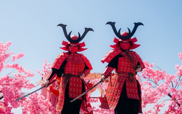 Фестиваль сакуры