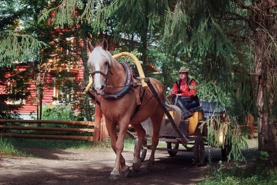 Сказка в русской деревне Мандроги