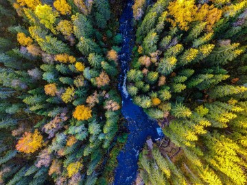 Карельский колорит: долина водопадов, лес, уха и музей в скале