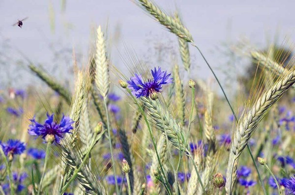 «В единстве – наша сила»