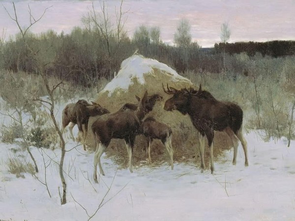 Программа «Утренний привет»