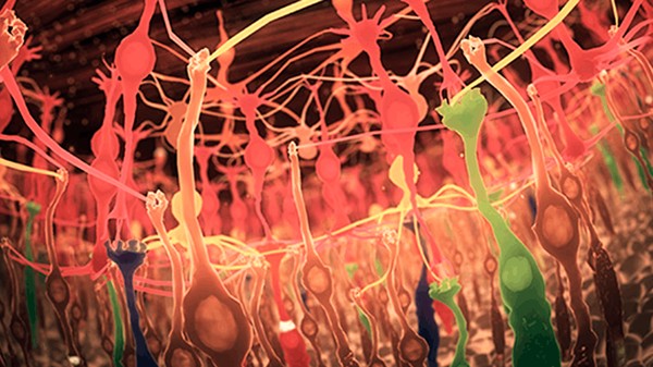 Полнокупольный фильм «Путь света к сознанию»