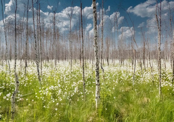 «Необъятная Россия — колыбель множества народов»: интерактивная программа