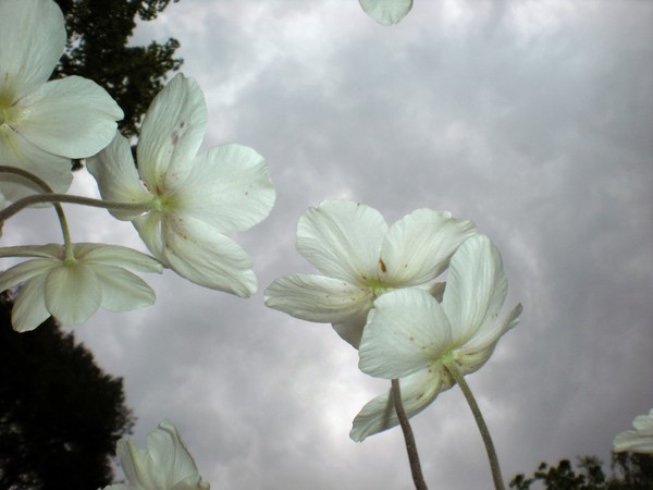 Озеро надежды