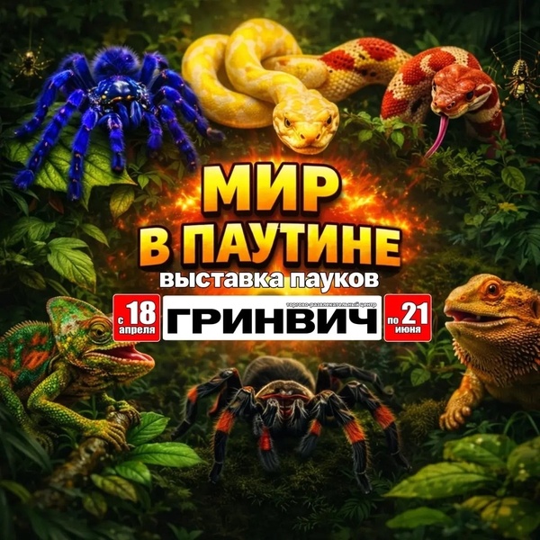 Выставка пауков «Мир в паутине»