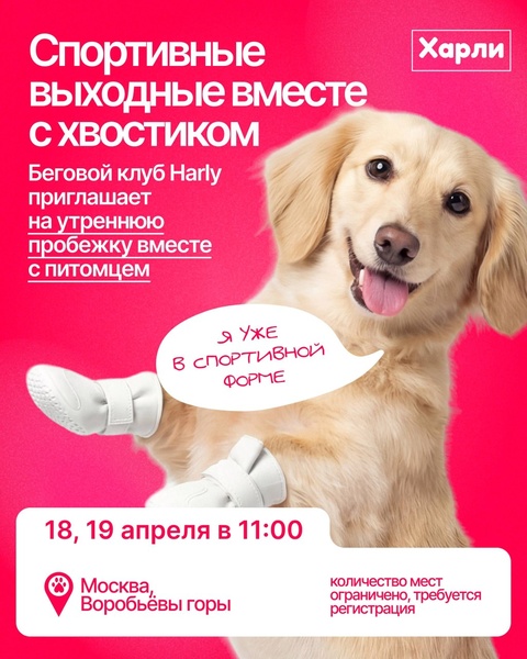 Спортивные выходные вместе с хвостиком 🐾