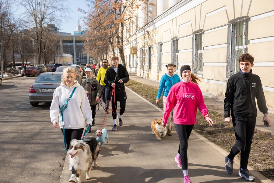 Спортивные выходные вместе с хвостиком 🐾