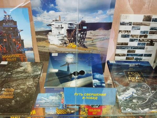 Библиовитрина «