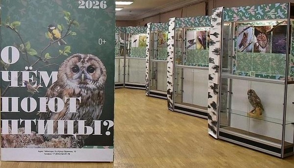 Выставка «О чем поют птицы?»