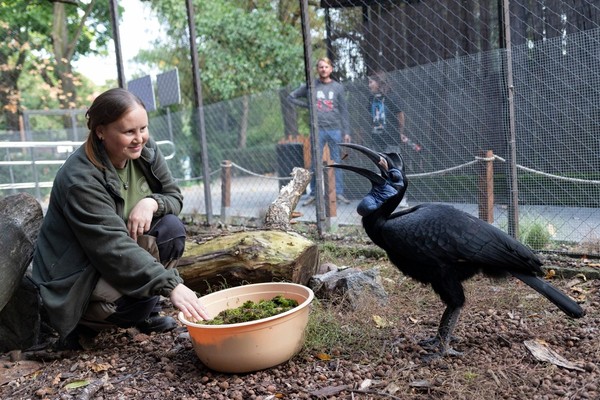 «Я работаю в зоопарке!» Новая экскурсия из цикла «Другой зоопарк»