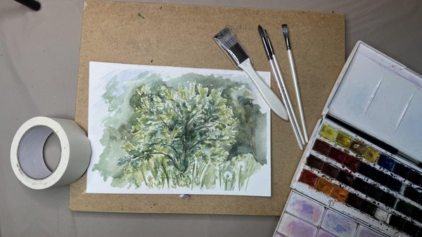 Мастер-класс «Акварельная зарисовка растений»