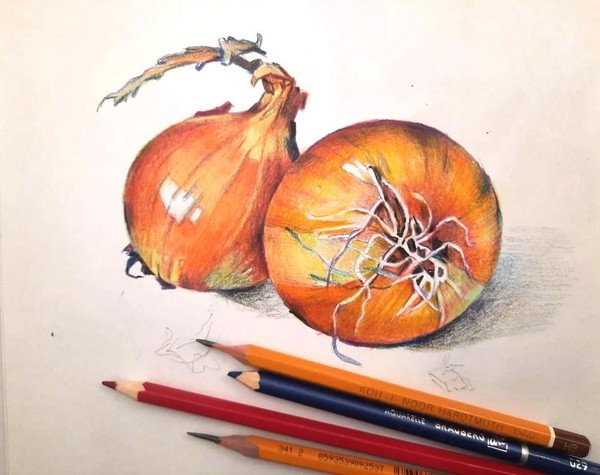 Музейное занятие «Зарисовки карандашом. Лук»