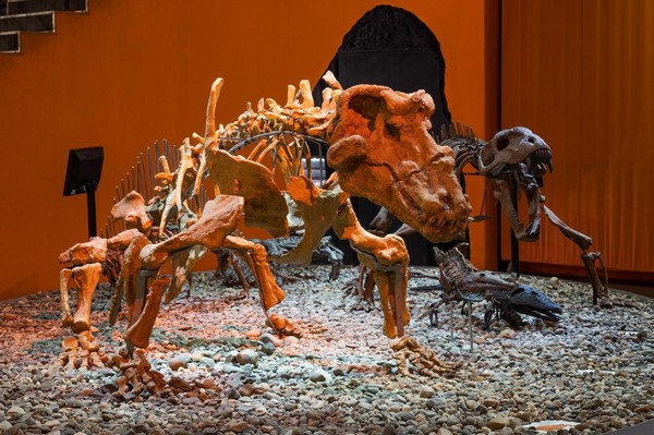 Экскурсия «Пермский период»