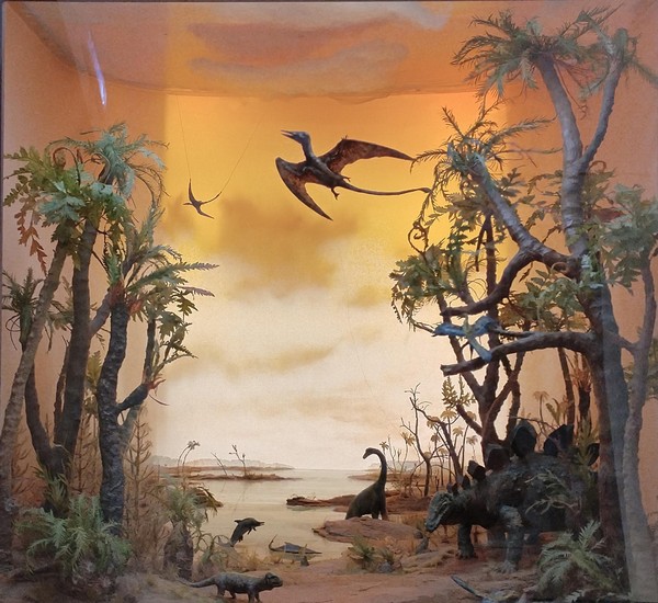 Экскурсия «Палеонтологическая коллекция музея-заповедника. Развитие органического мира»