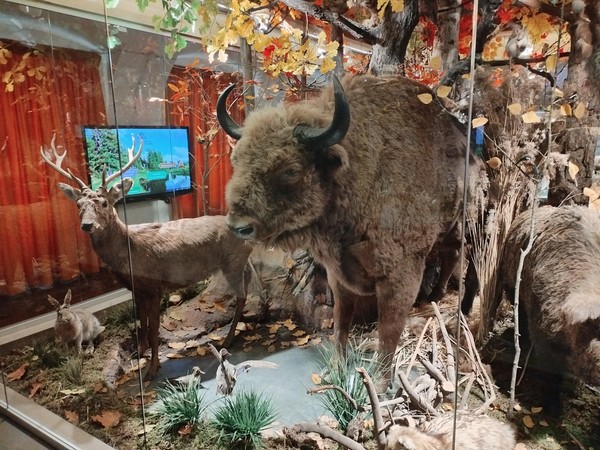 Экскурсия «Уникальная коллекция охраняемых животных. Красная книга Калужской области»