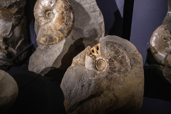 Занятие «Как рождался Сахалин?»