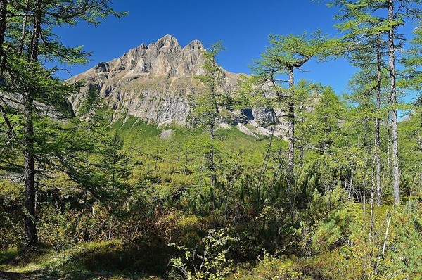 Лекция «Чудеса земли Даурской»