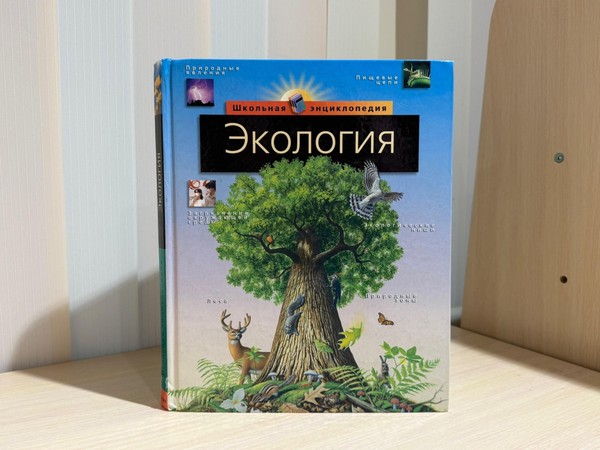 Квест-игра «Экологические следопыты»