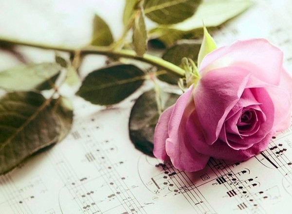 Литературно-музыкальная программа «И сердце тает»