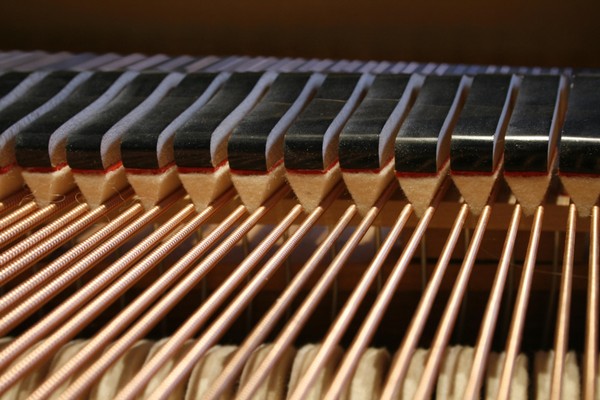 Концерт класса Ю. Полубелова