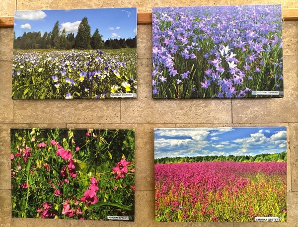 Фотовыставка «Природа Рязанского края»