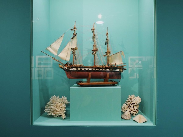 Выставка «Библиотека приключений Анатолия Иткина. К 95-летию художника»