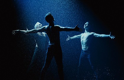 Собачье сердце