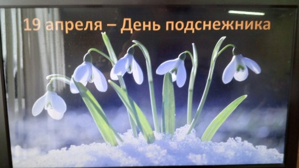 « Первый весенний цветок»