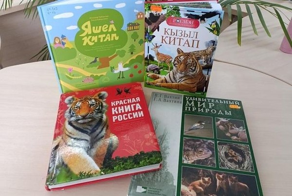 Урок экологии «Планета Земля: инструкция по применению»