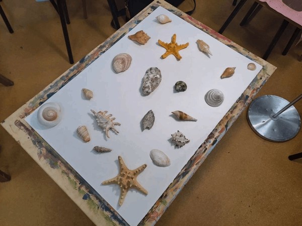 Акварельный мастер-класс «Ракушки»