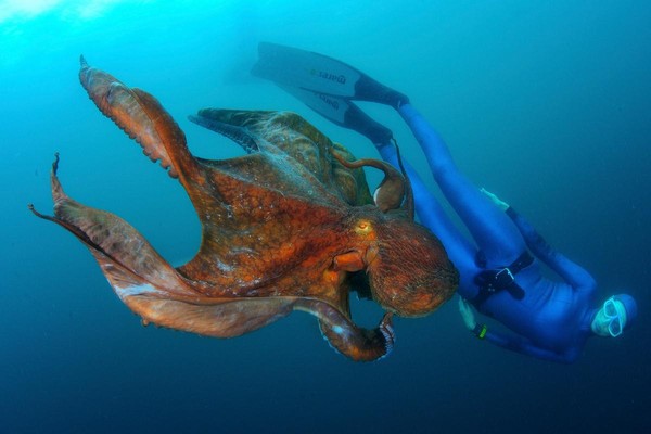 Экскурсия по выставке «Приморье: на границе земли и соленого моря»