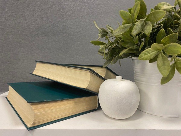 «Загадочный мир» литературный час