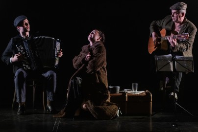 Дина Верни, или Элитная музыка для шпаны