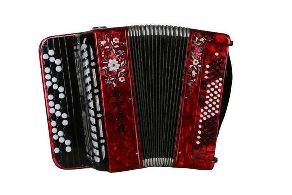 Концерт «Играй, мой баян!»