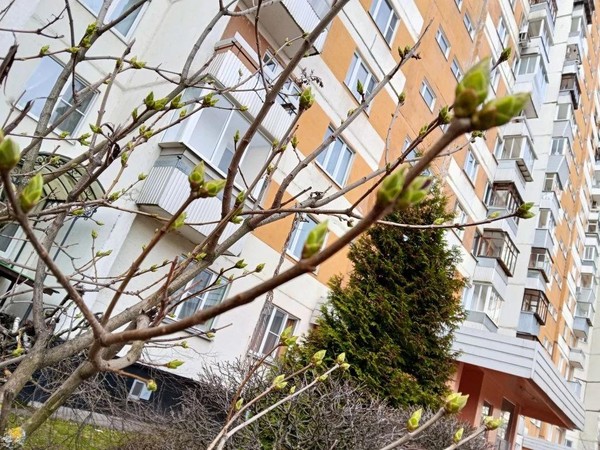 Мастер-класс «Весенний день»