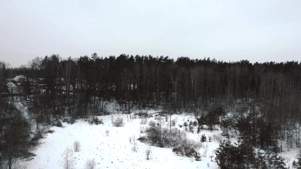 Кинолекторий из цикла «Без срока давности»