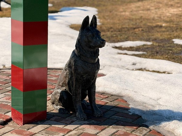 Занятие «Череповец в годы Великой отечественной войны»