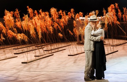 Три дня в деревне