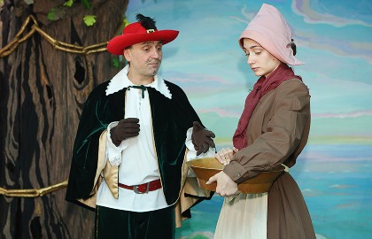 Волшебные сказки Шарля Перро