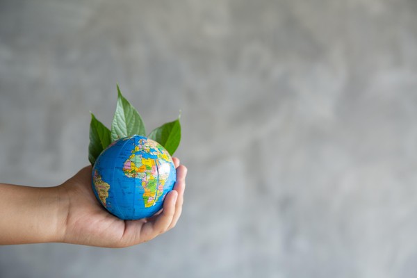 Праздник «Международный день Земли»